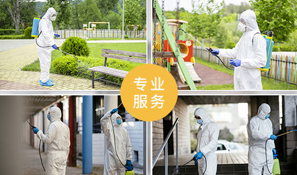 研發(fā)團(tuán)隊(duì)致力創(chuàng)新